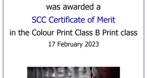nd_certifcate_roberto_colombo.jpeg